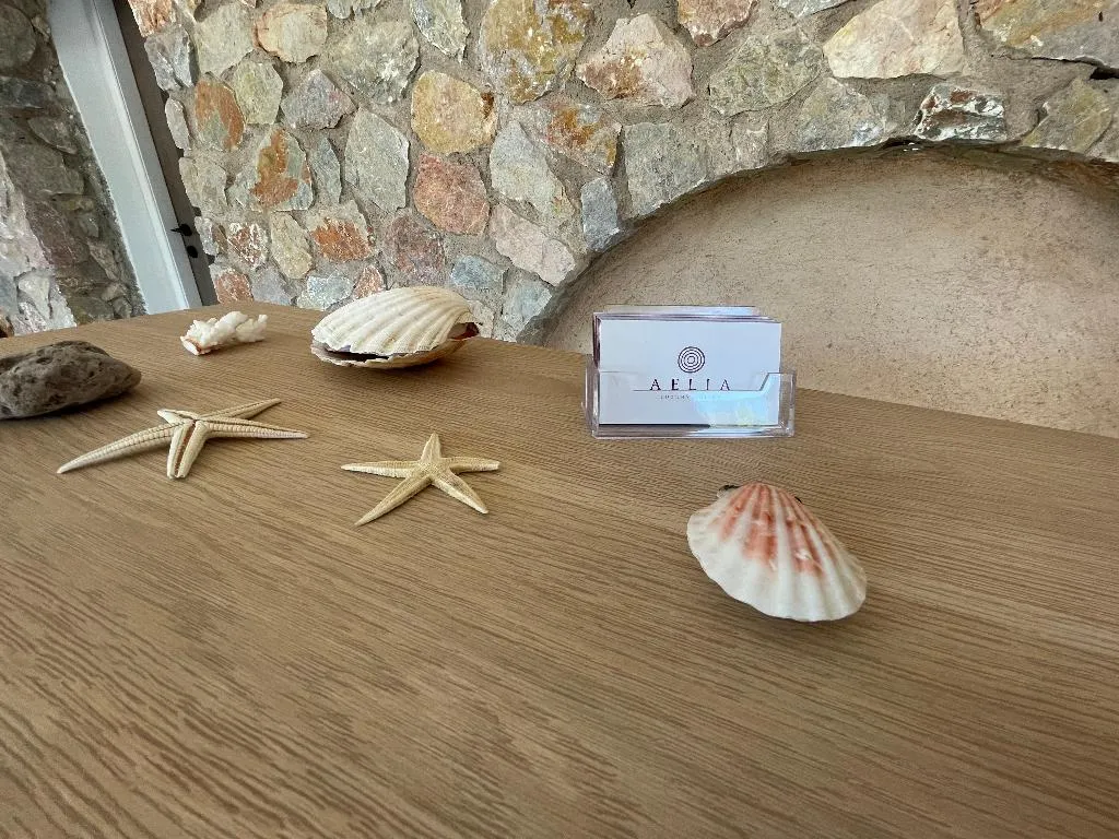 Lobby, Aelia Luxury Suites, Santorini