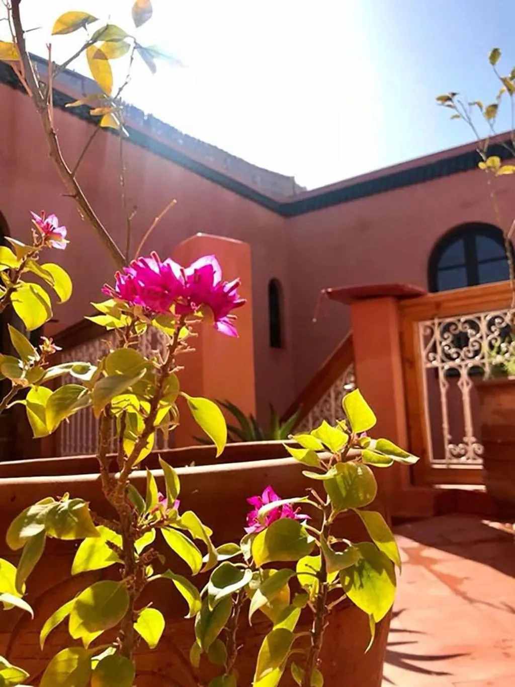 Terrace, Riad La Perle De Marrakech, Marrakech