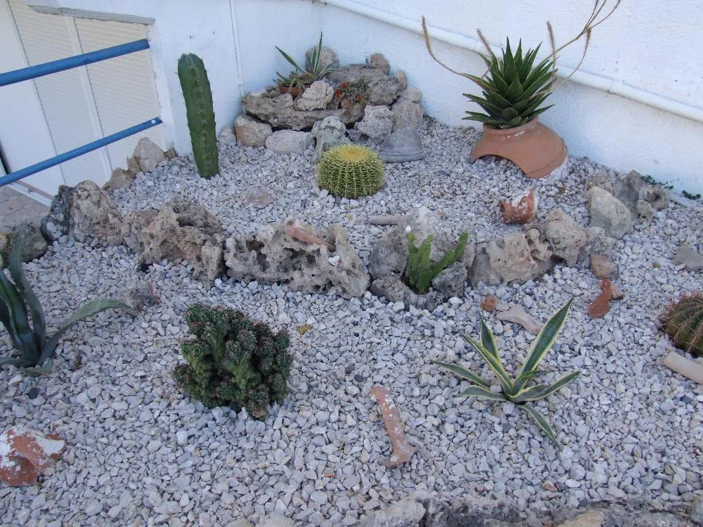 General view, Sokrates Studios, Rhodes
