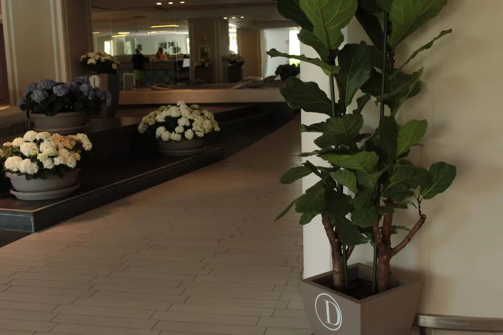 Lobby, Hotel Domina Zagarella - Sicily, Palermo