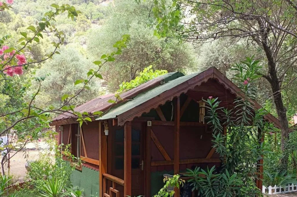 General view, Canario Bungalows, Antalya