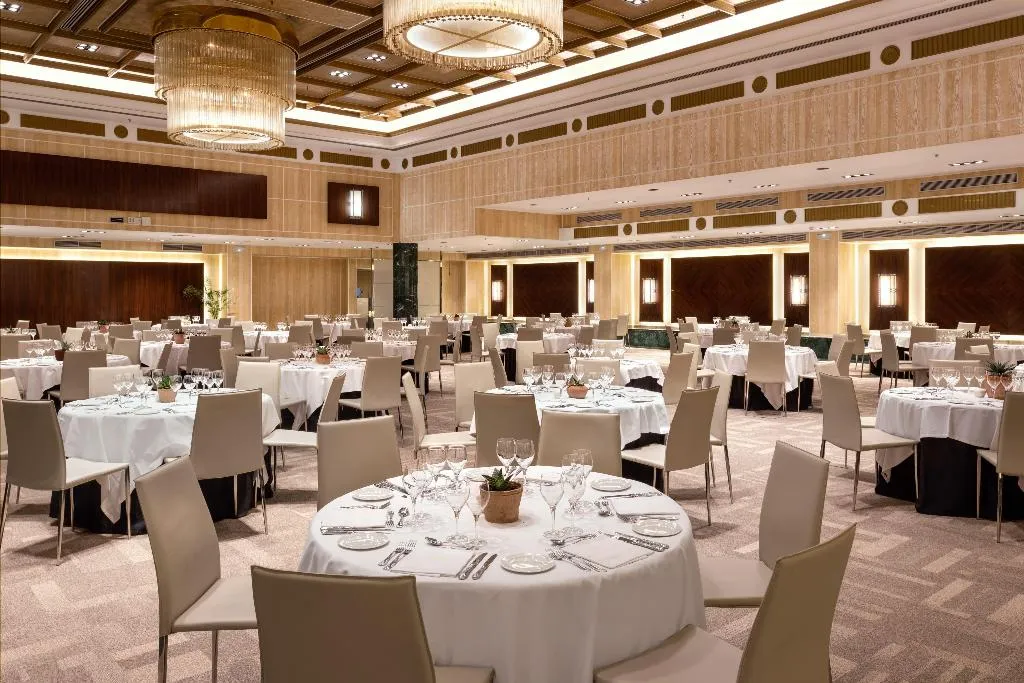 Conferences, Melia Castilla, Madrid