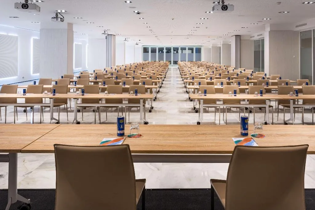 Conferences, Melia Lebreros, Seville