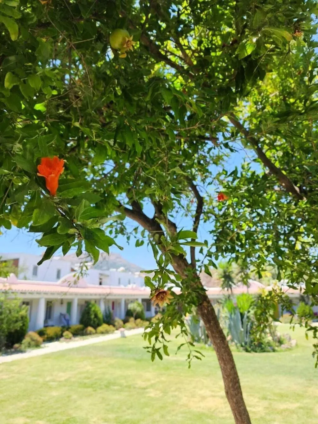 General view, Kefi Beach And Suites, Bodrum