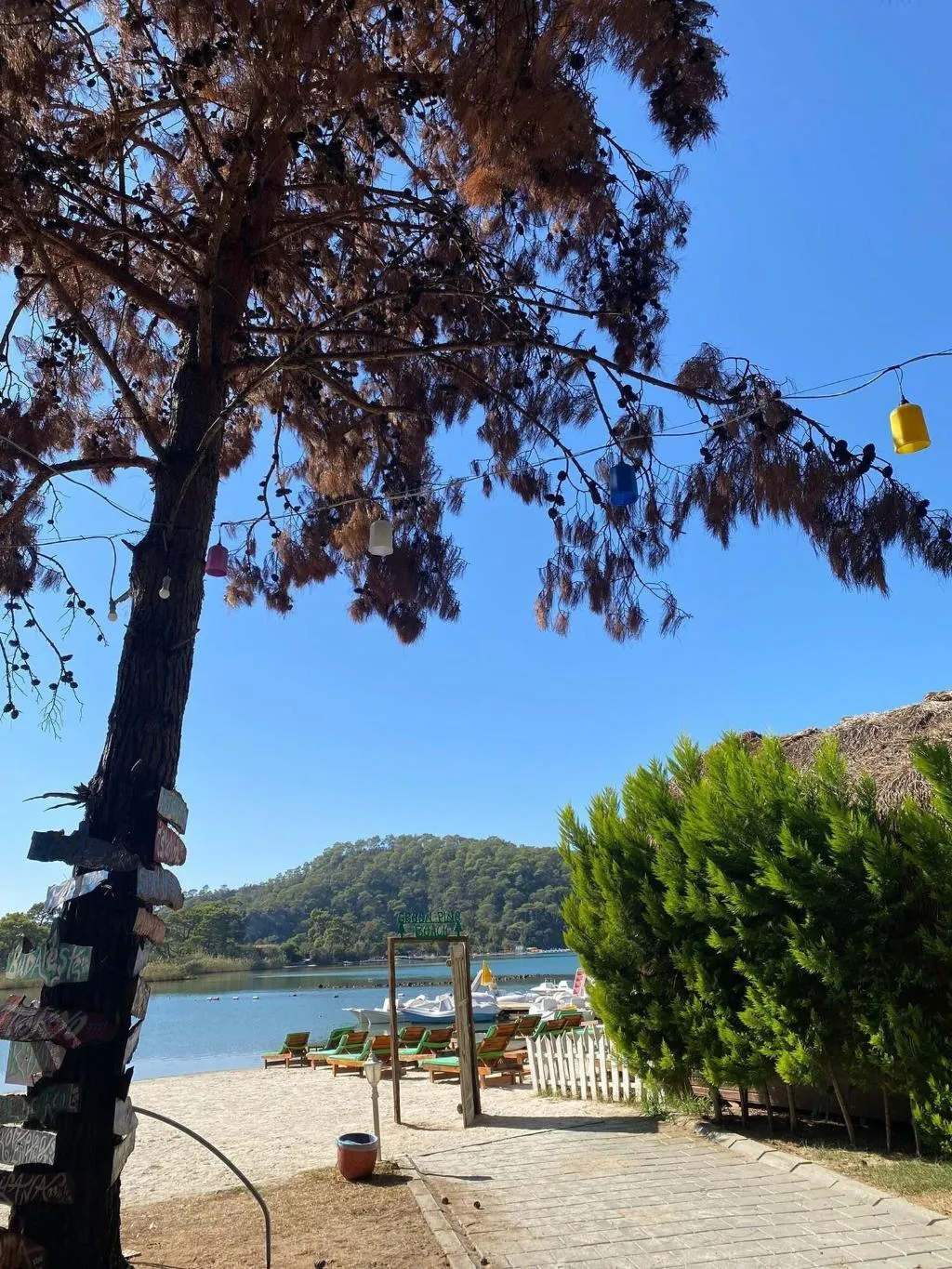 General view, Green Pine Beach & Bungalows Luxury Concept, Dalaman