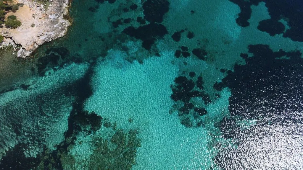 Beach, Son Caliu Hotel Spa Oasis, Majorca
