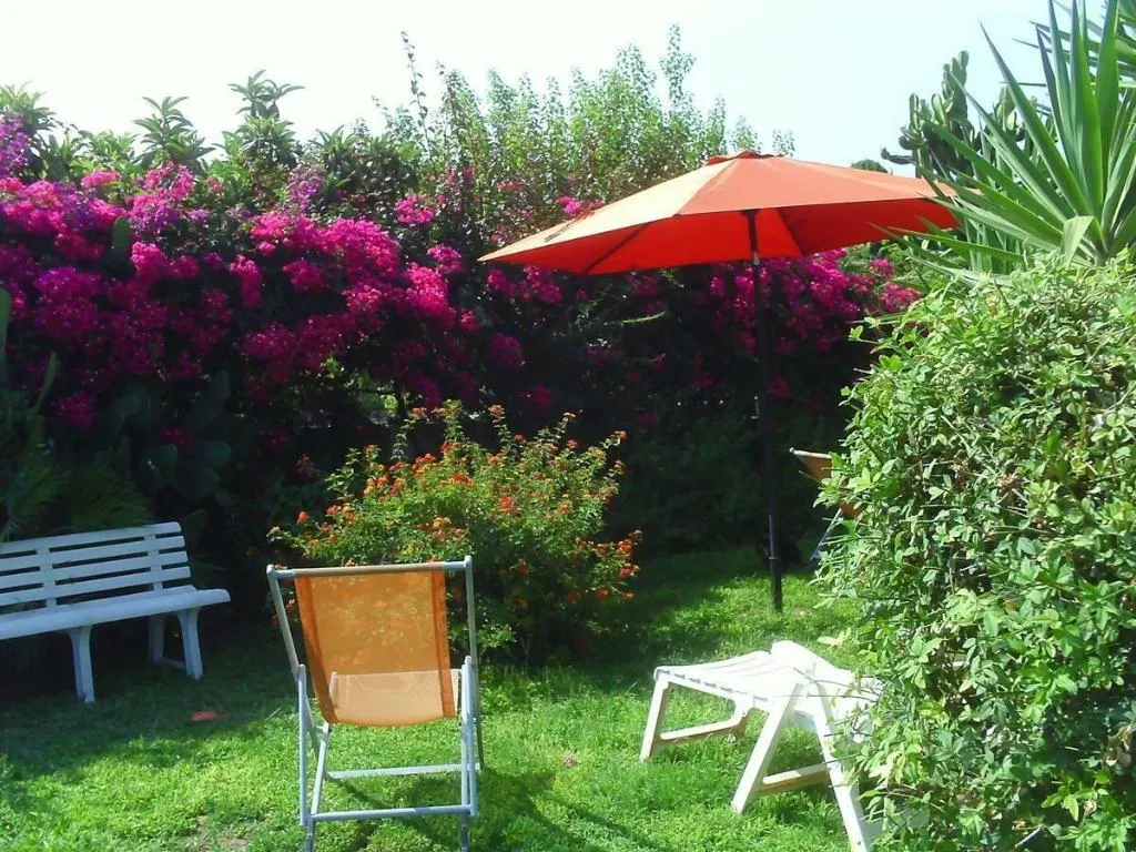 General view, Bouganvillea, Catania