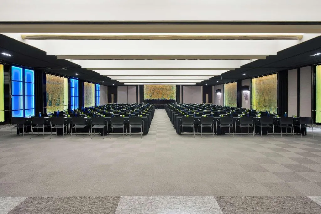 Conferences, Melia Castilla, Madrid