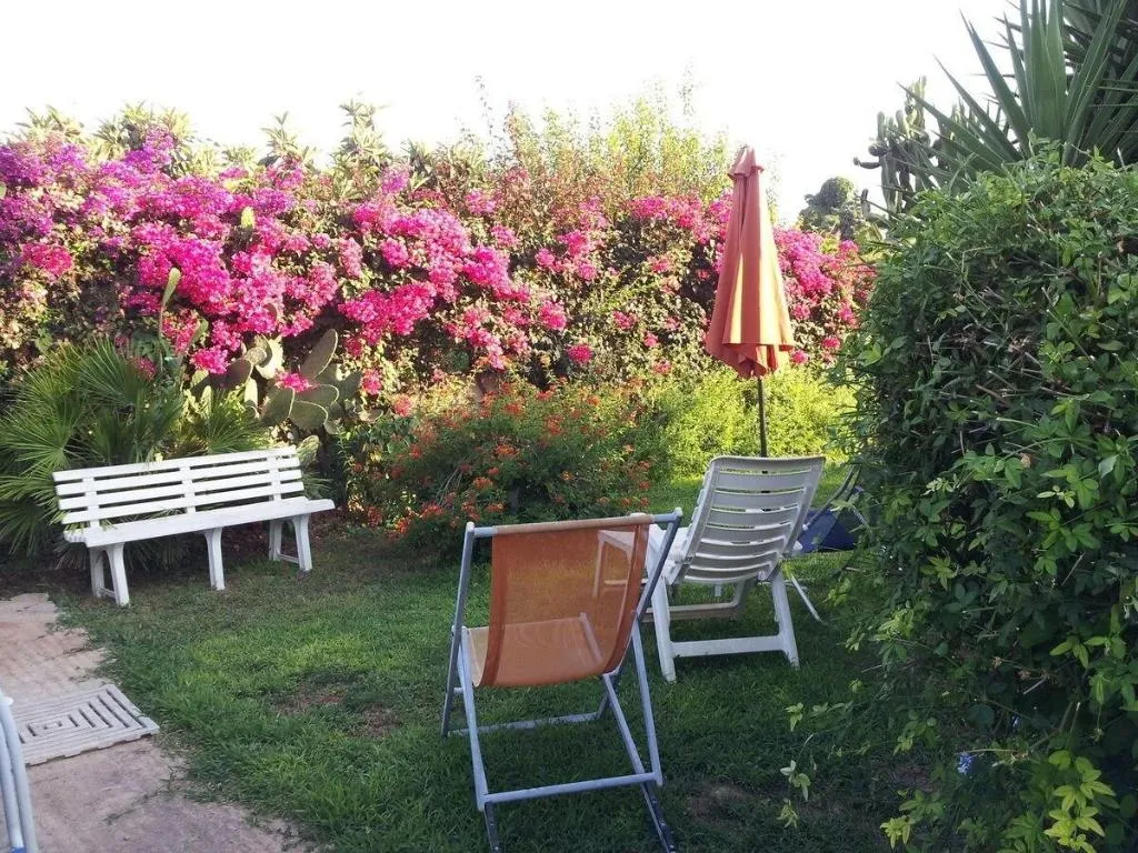 General view, Bouganvillea, Catania