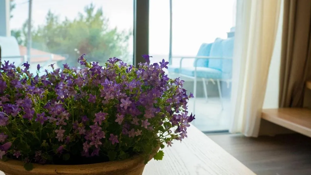 Room, Costa Domus Blue Luxury Apartments, Thessaloniki