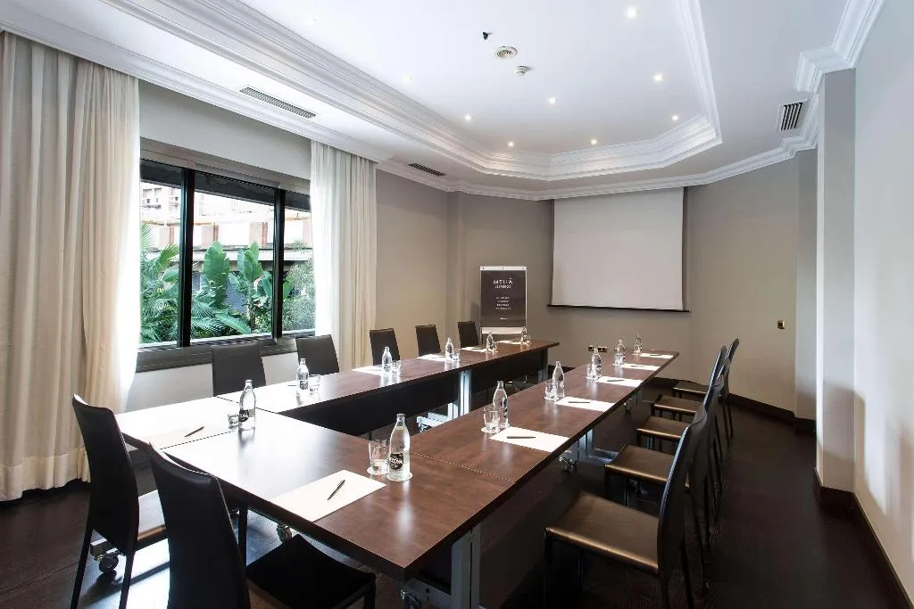 Conferences, Melia Lebreros, Seville