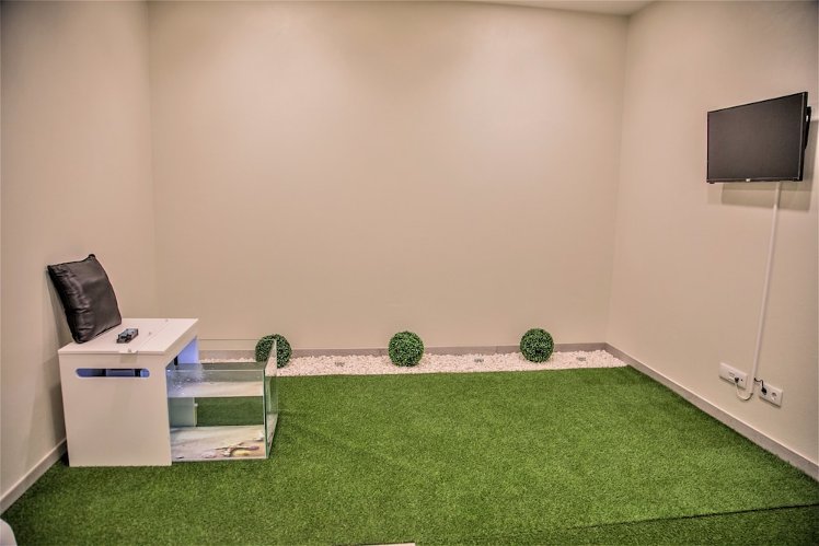 Hotel Calamar, Madeira