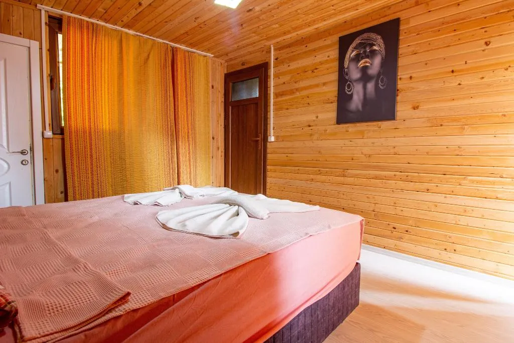 Room Presidential Room, Faralya Gül  Pansiyon, Dalaman