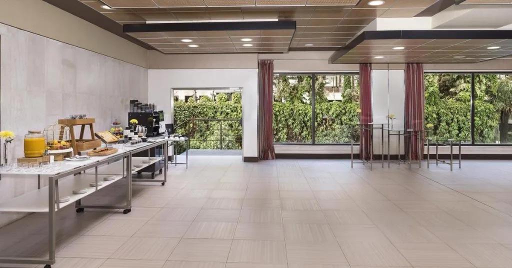 Conferences, Melia Castilla, Madrid