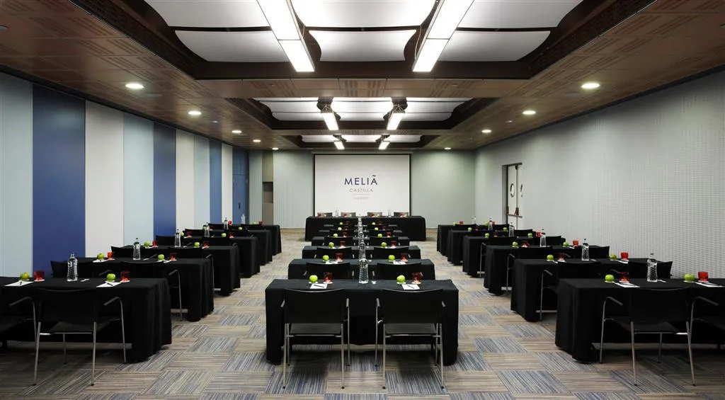 Conferences, Melia Castilla, Madrid