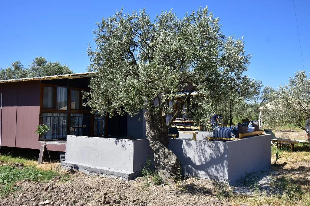 BUNGALOW CAPACITY 5 ONE BEDROOM Room, Simlarda Country Club Ayvalık, Izmir