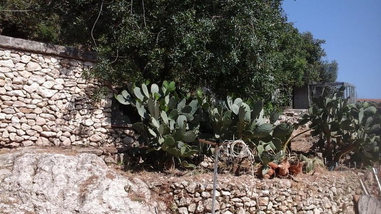 B&B La Ginestra, Palermo