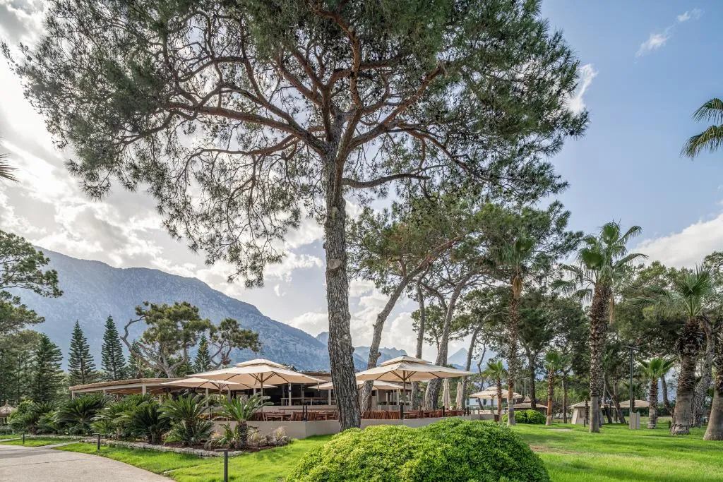 Restaurant, Balmy Foresta, Antalya