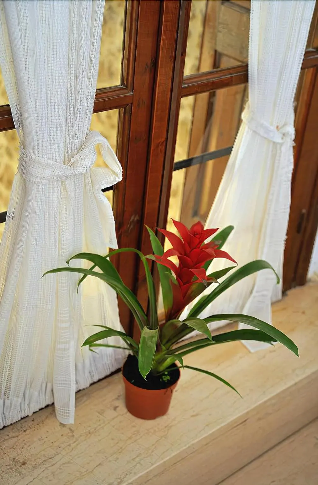 Lobby, Byzantine Hotel, Crete
