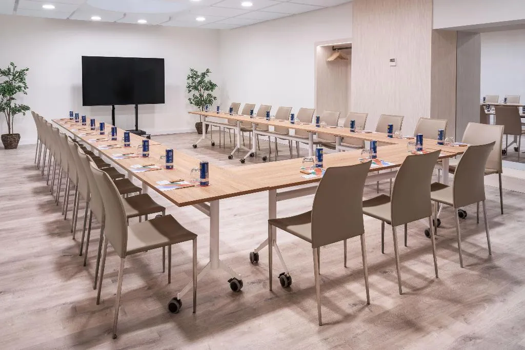 Conferences, Melia Lebreros, Seville