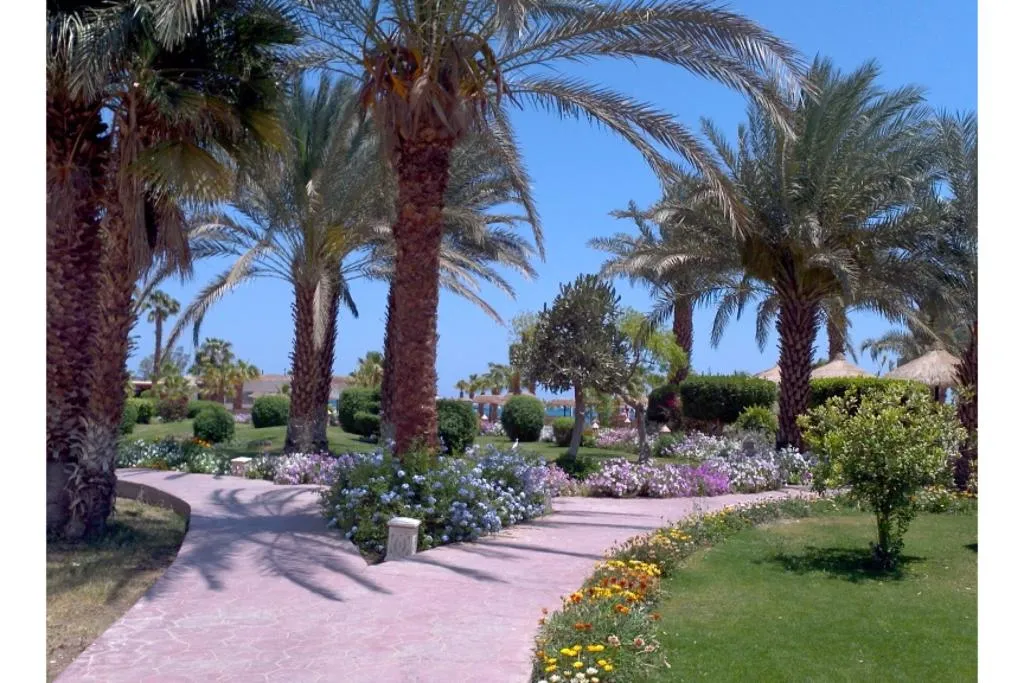 General view, Lotus Bay Beach Resort, Red Sea Riviera
