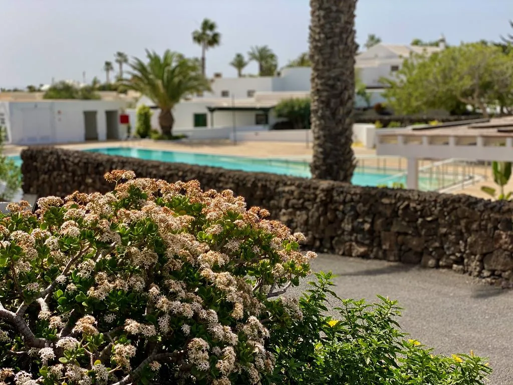 Pool, Casas Heddy, Lanzarote
