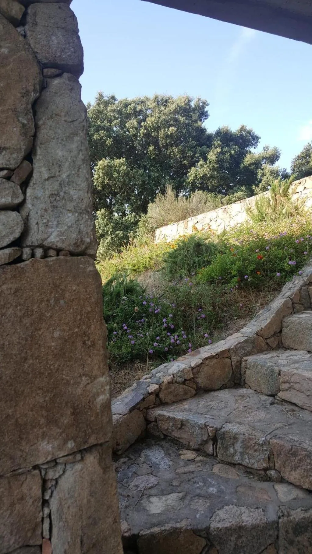 General view, Agriturismo Desole, Olbia