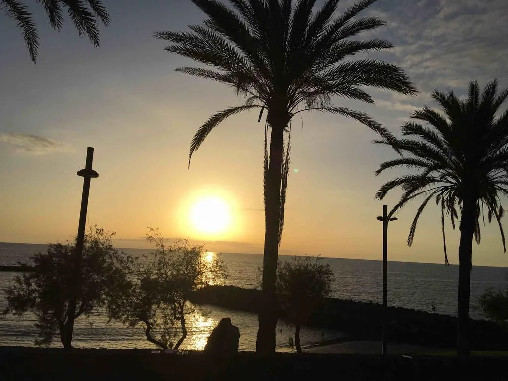 Beach, Ona Palm Beach, Tenerife