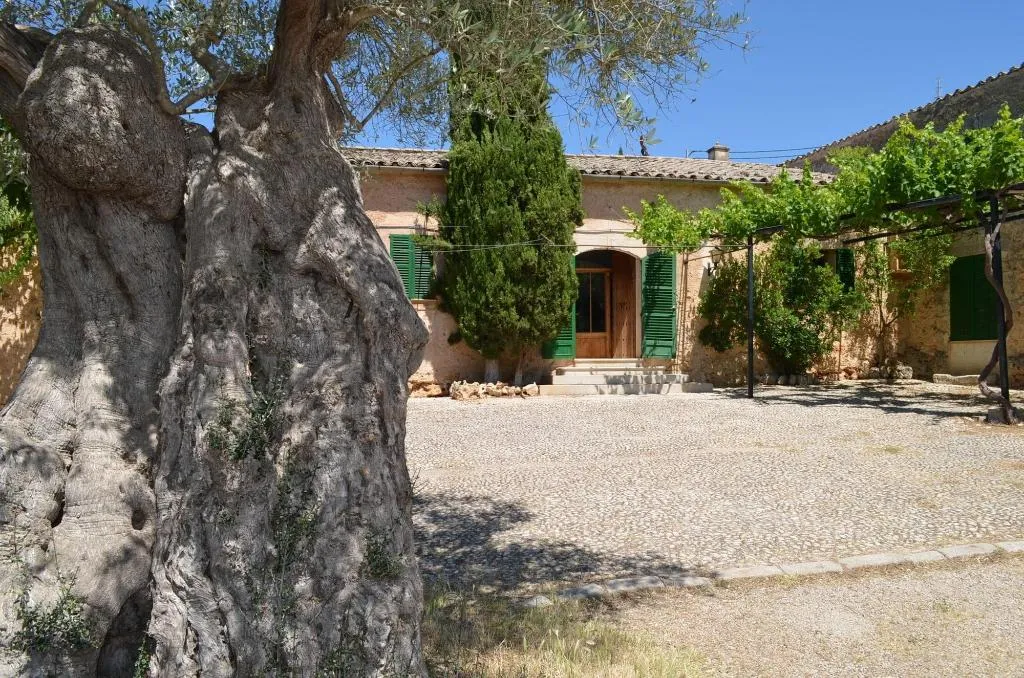 Terrace, Sa Casa Rotja, Majorca