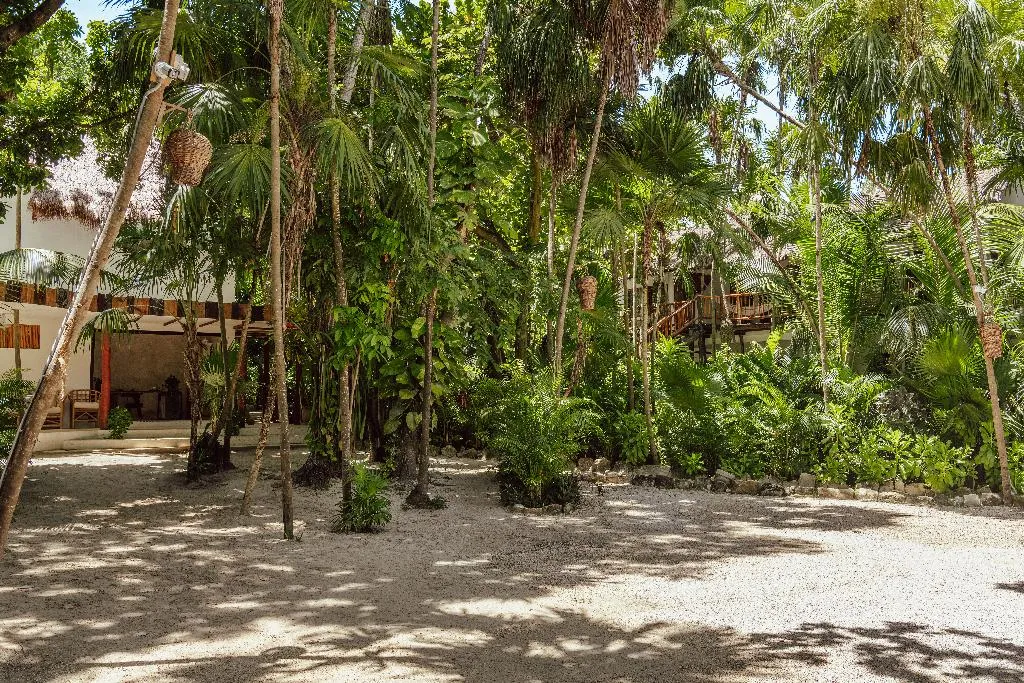 Lobby, Hotel Dos Ceibas Eco Retreat Tulum, Cancun Area