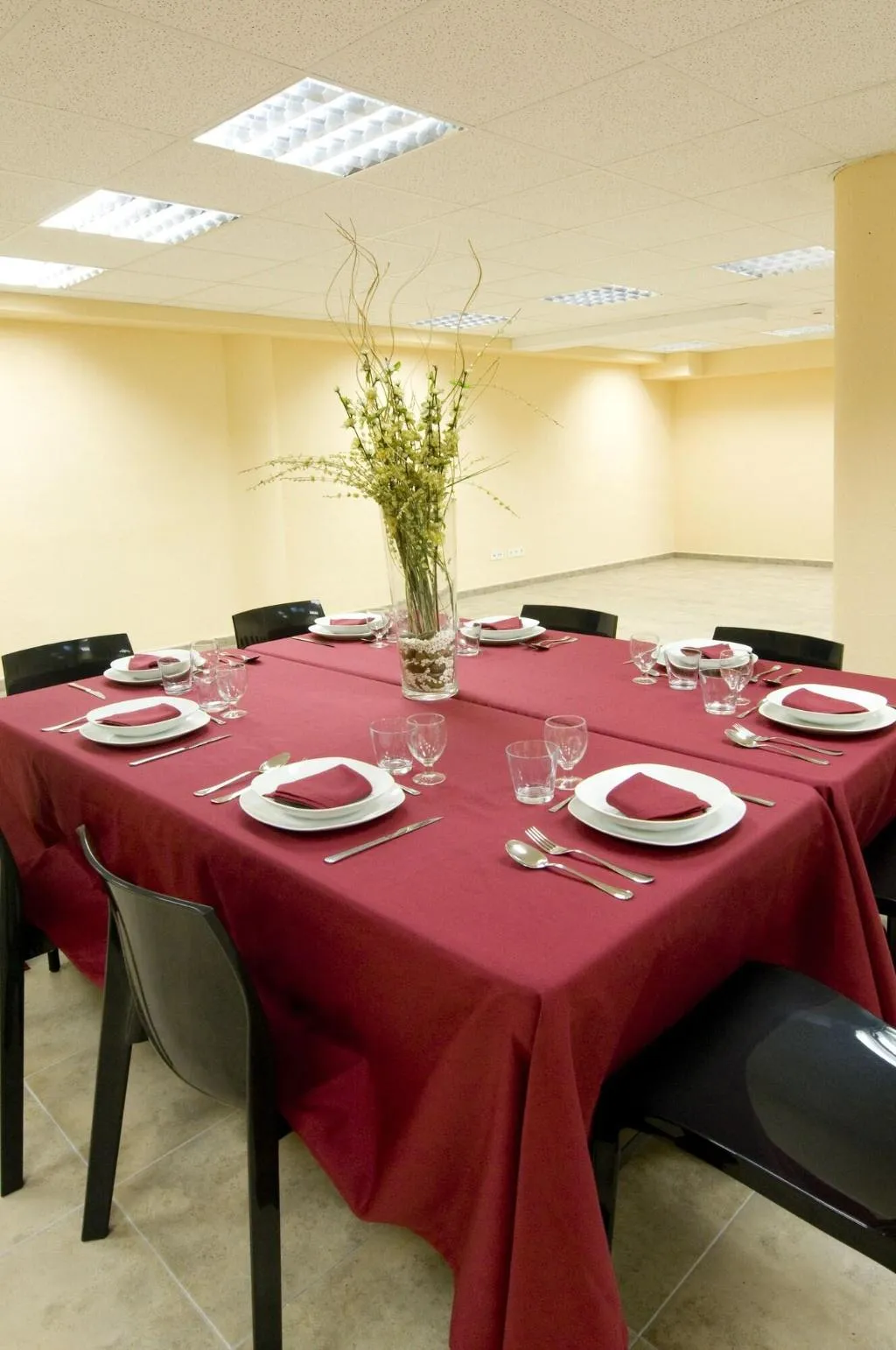 Conferences, Hotel Ciutat De Sant Adria, Barcelona