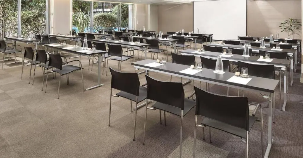 Conferences, Melia Castilla, Madrid