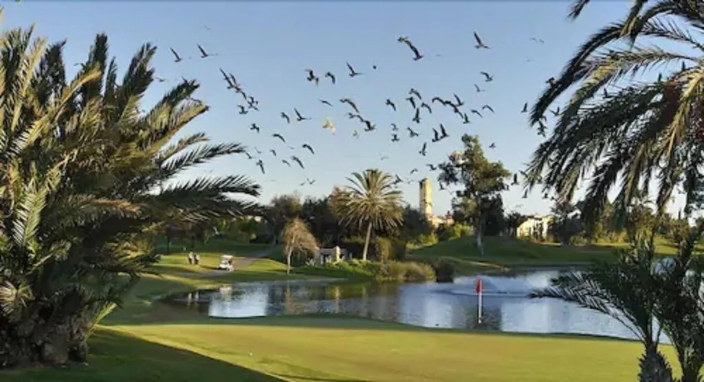 Sports and Entertainment, Tikida Golf Palace, Agadir