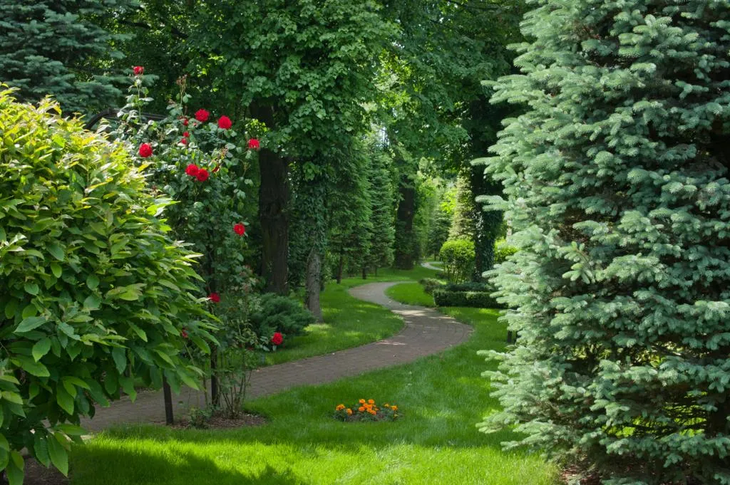 Terrace, Booking Hotel Crown Piast & Spa*****, Krakow