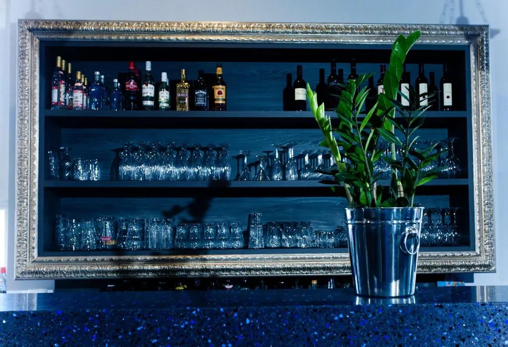 Bar, Lenas Donau, Vienna