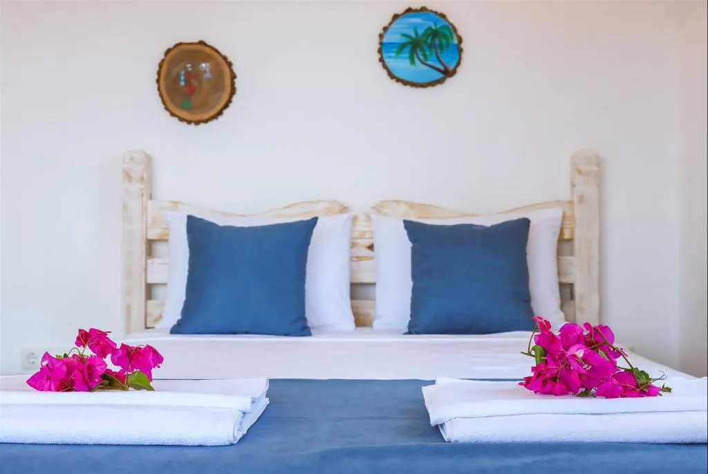 Room STANDARD Room, Alina Otel, Dalaman