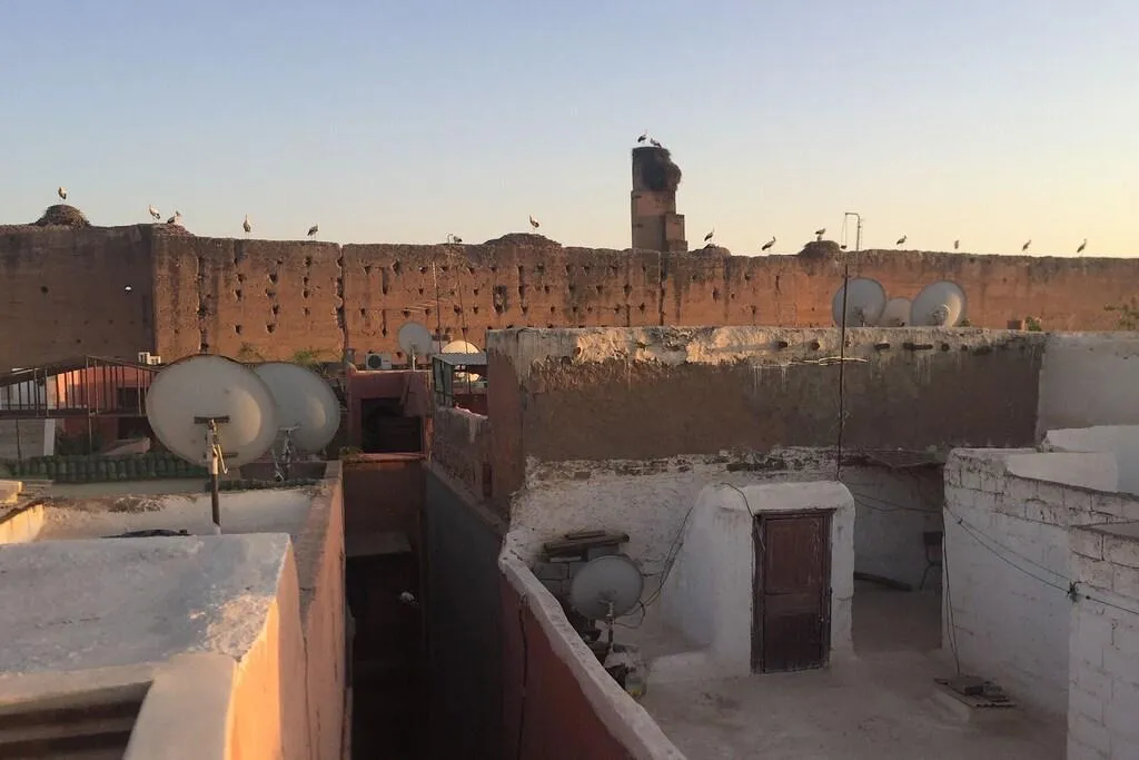 Terrace, Riad Of The Storks, Marrakech