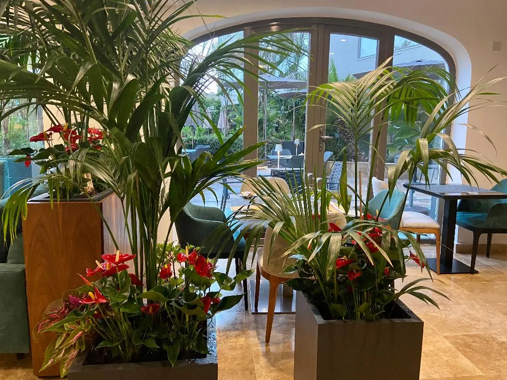 Restaurant, The Village Boutique & Spa, Malta