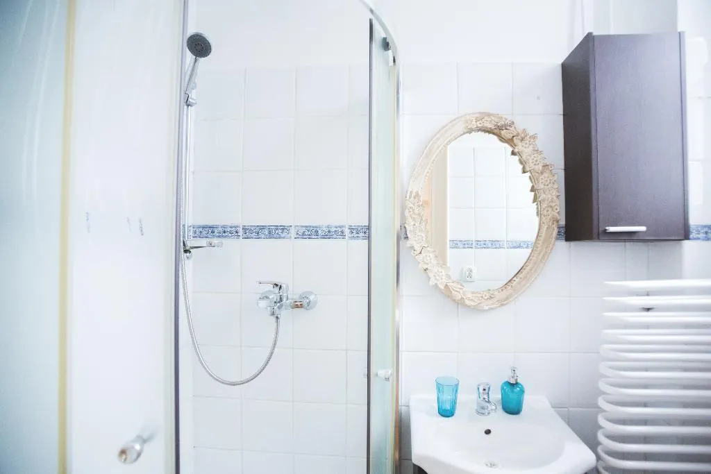 DOUBLE STANDARD Room, Apartments Roman, Krakow