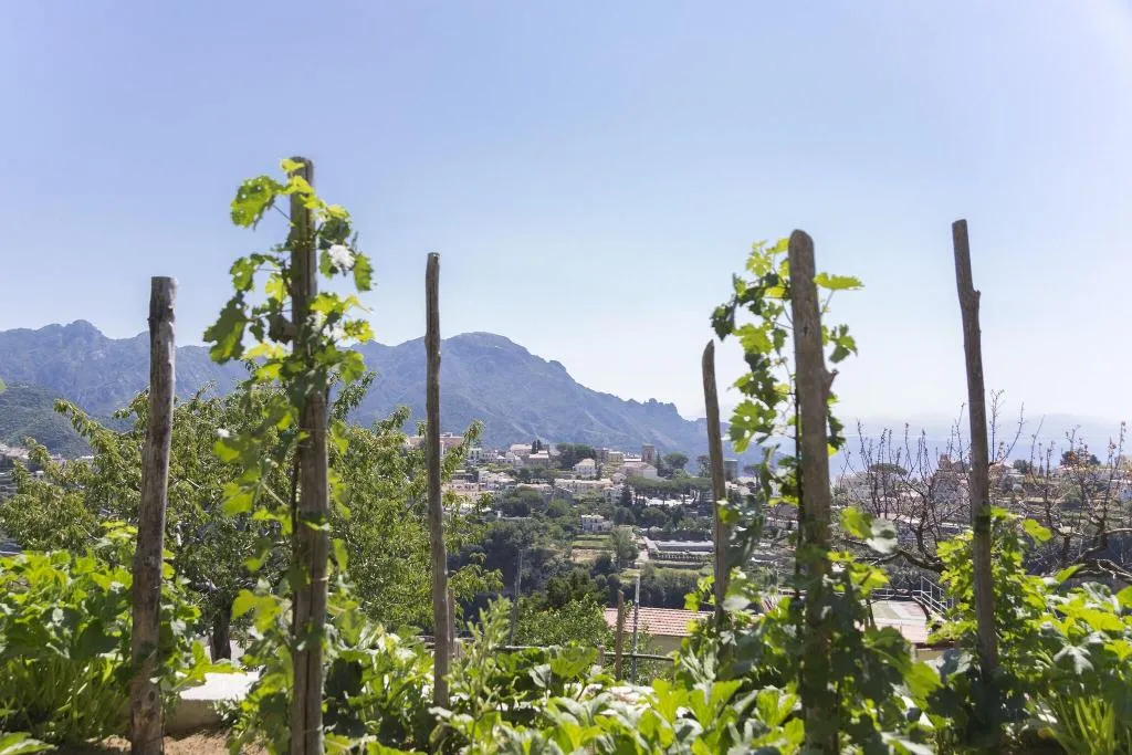 Terrace, Zi'Ntonio, Naples