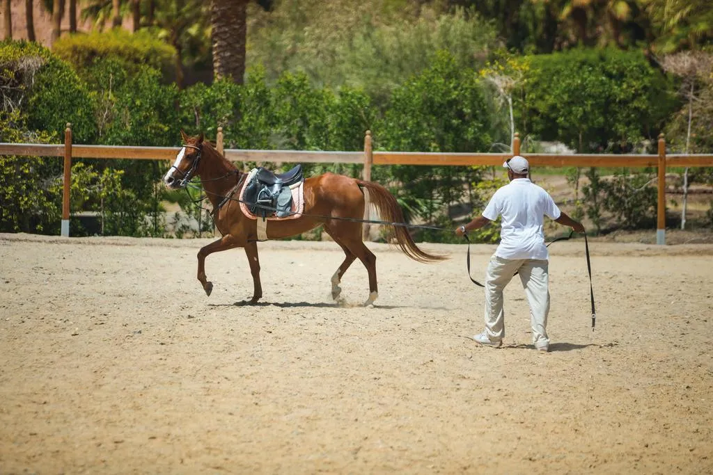 Sports and Entertainment, Mövenpick Resort El Quseir, Red Sea Riviera