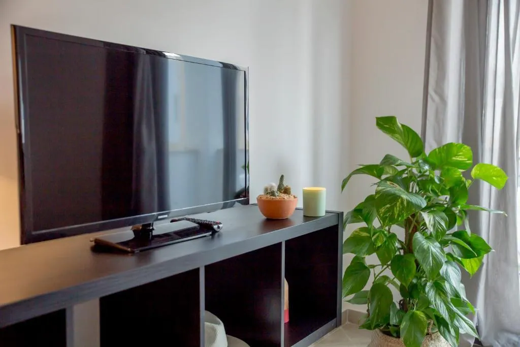 APARTMENT ONE BEDROOM WITH TERRACE Room, Smy Santa Eulália Algarve, Algarve
