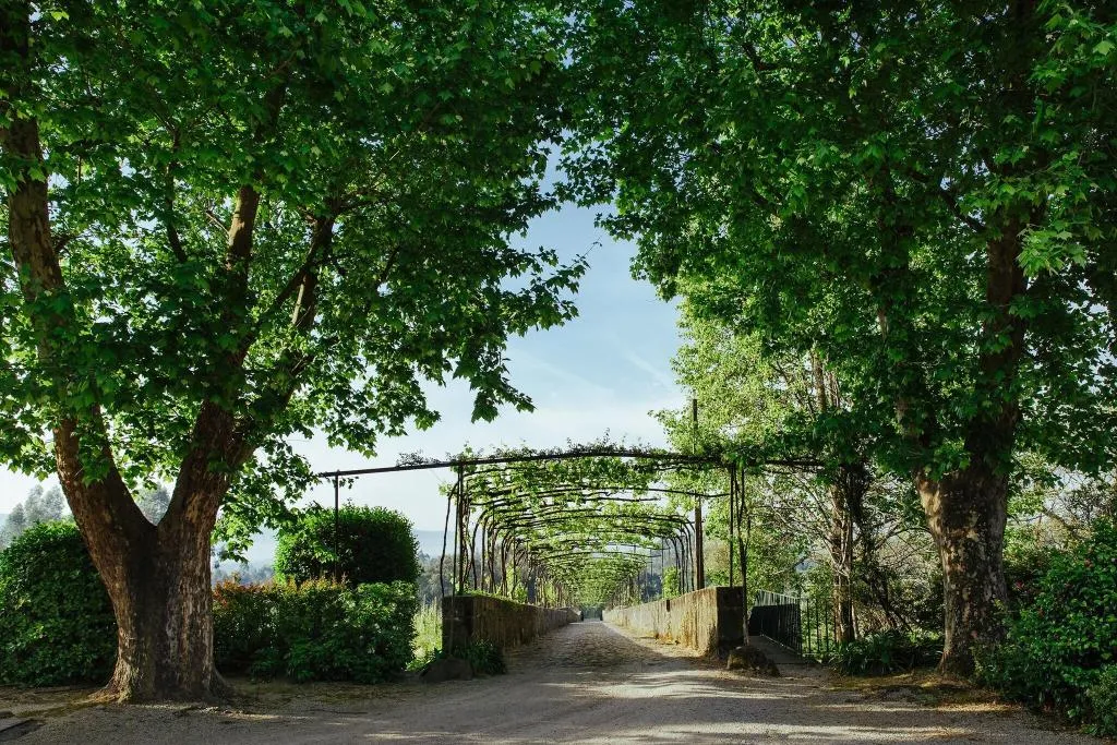 General view, Unique Quinta Bouça Darques, Porto