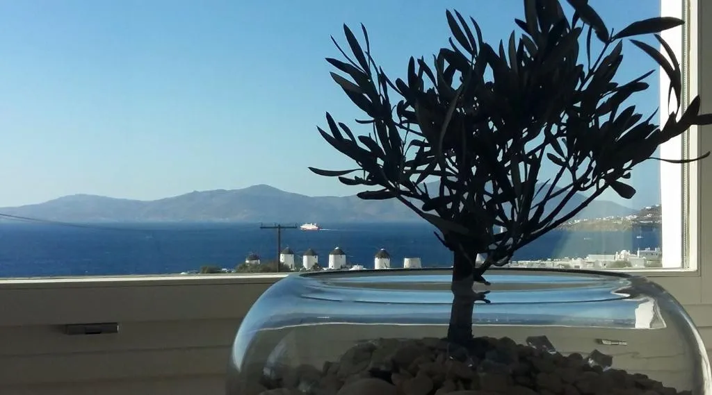 General view, Iliomaris, Mykonos