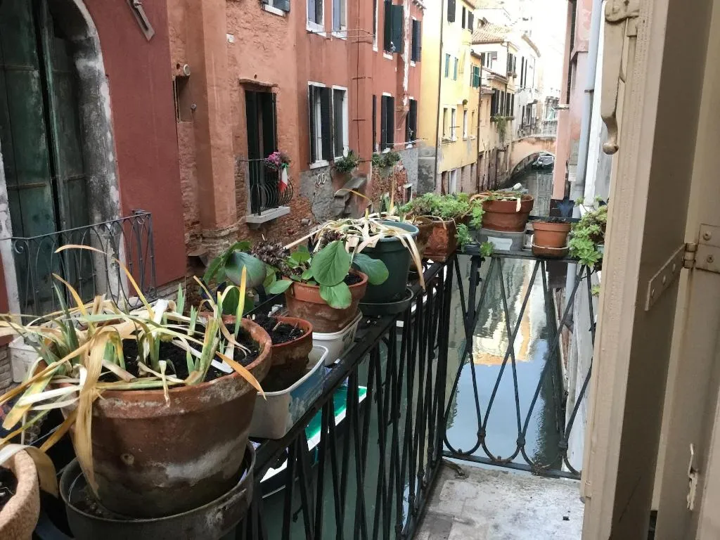 Room, Venice Sun Apartment And Rooms, Venice