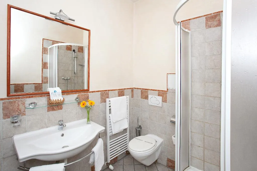 Double or Twin STANDARD Room, Hotel Tivoli Prague, Prague
