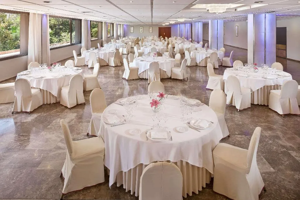 Conferences, Melia Lebreros, Seville