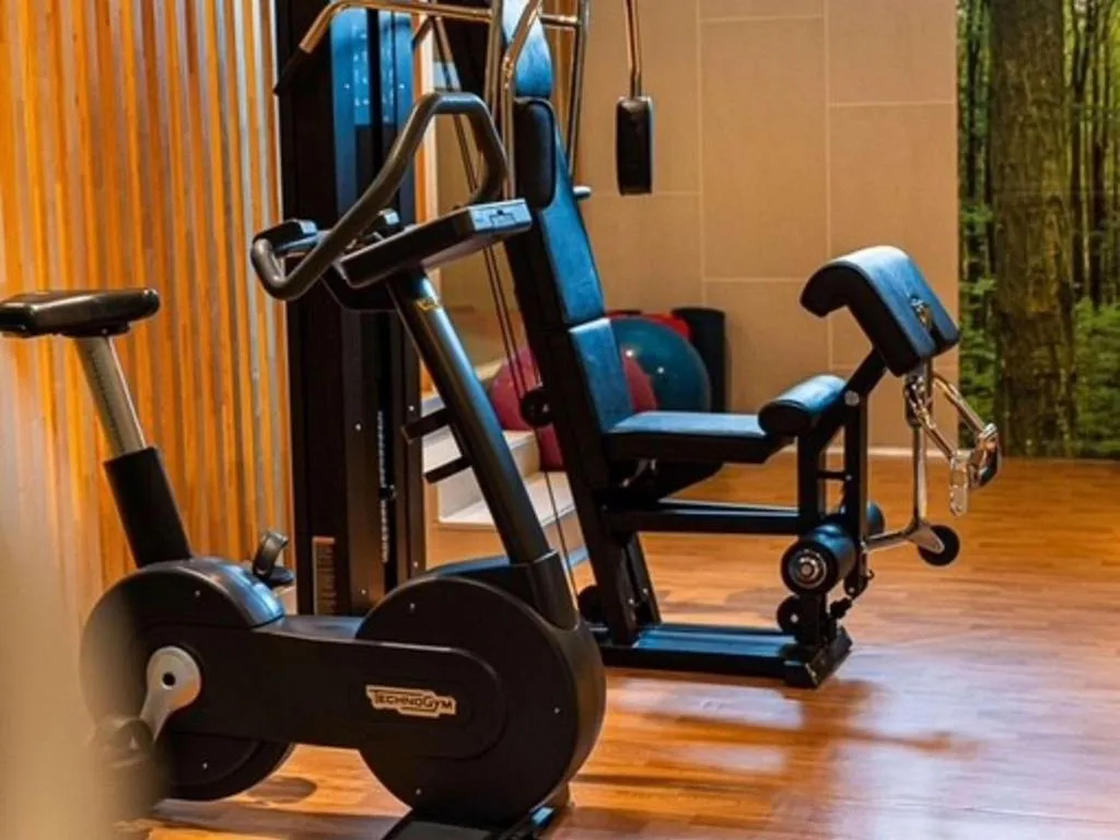 Sports and Entertainment, Ibis styles Madrid City Las Ventas, Madrid