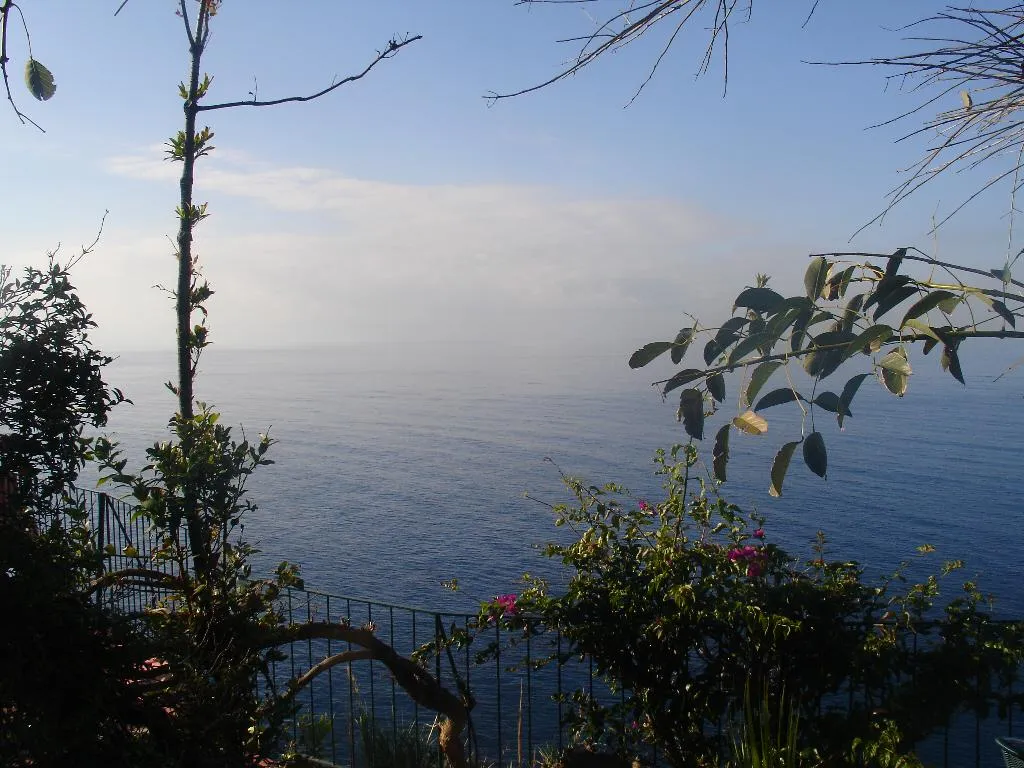 General view, Inn & Art Hotel Gallery, Madeira