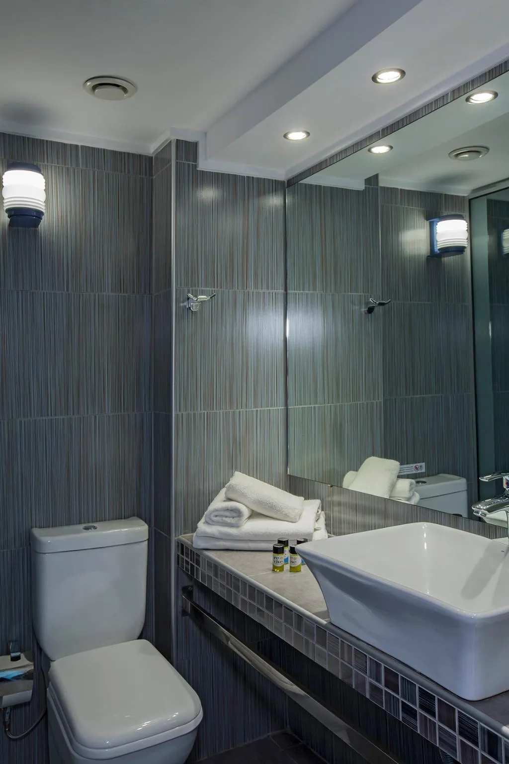 DOUBLE SINGLE USE GARDEN VIEW Room, Golden Coast, Athens